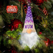 Picture of HH XMAS LIGHT UP GONKS MUM